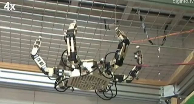 araña robot